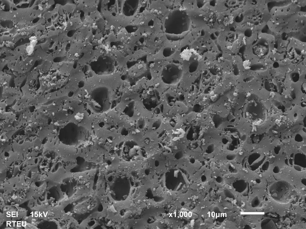 SEM image of porous activated carbon made from hazelnut shell