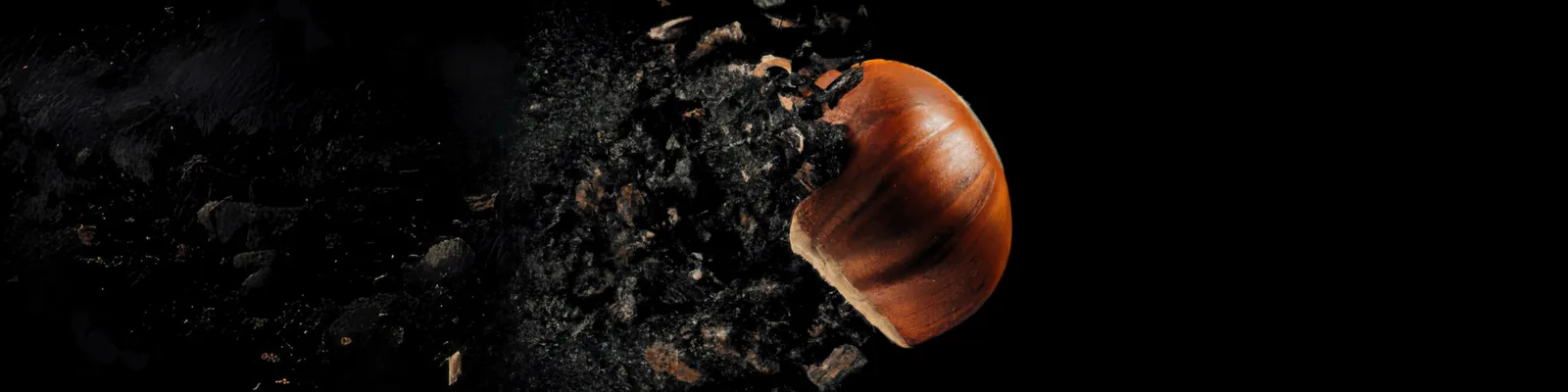 Hazelnut shell
