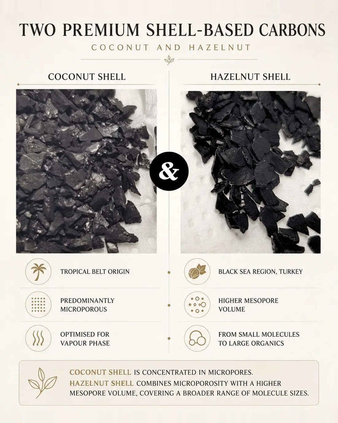 Coconut shell and hazelnut shell activated carbon compared: origin, pore structure and the range of molecule sizes covered